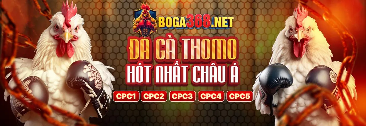 Khuyến Mãi XN88 Nhà Cái 2026: Ưu Đãi Độc Quyền & Thưởng Lớn Mỗi Ngày!