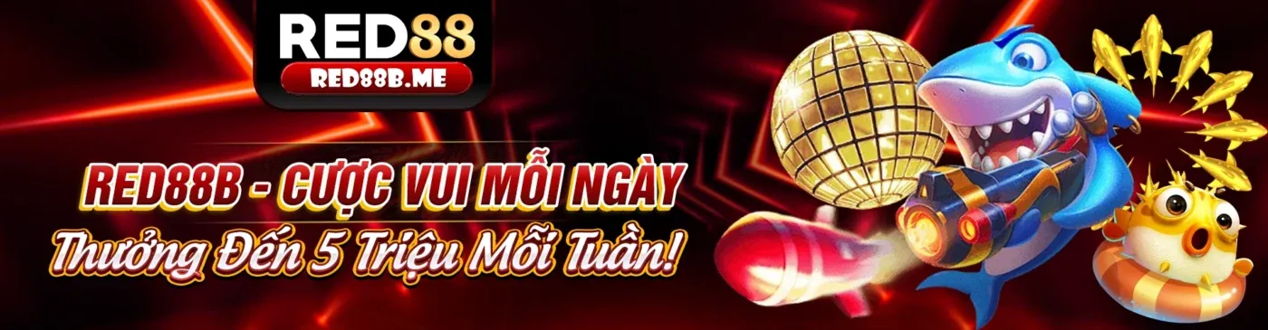 Hình ảnh chính trang Blog xn88 nhà cái